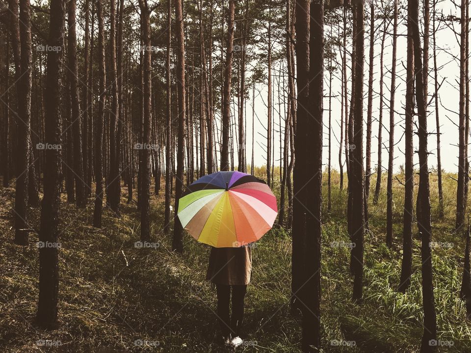 Rear view of a person with a colourful umbrella