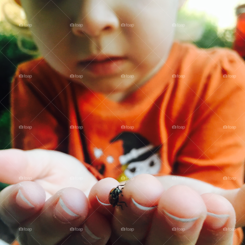 Playing with rolly polly bugs