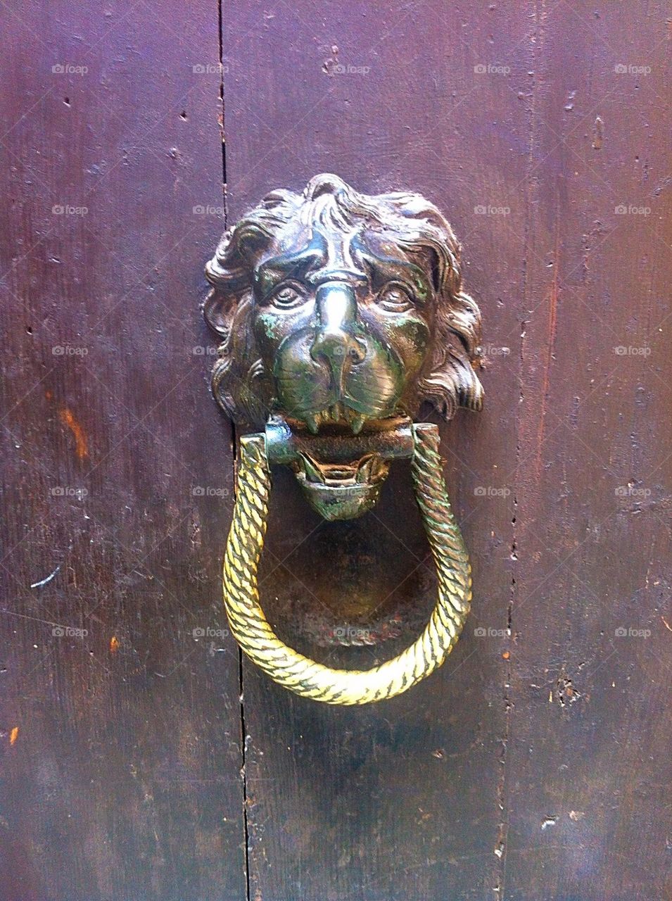 Lion door knocker, Venice