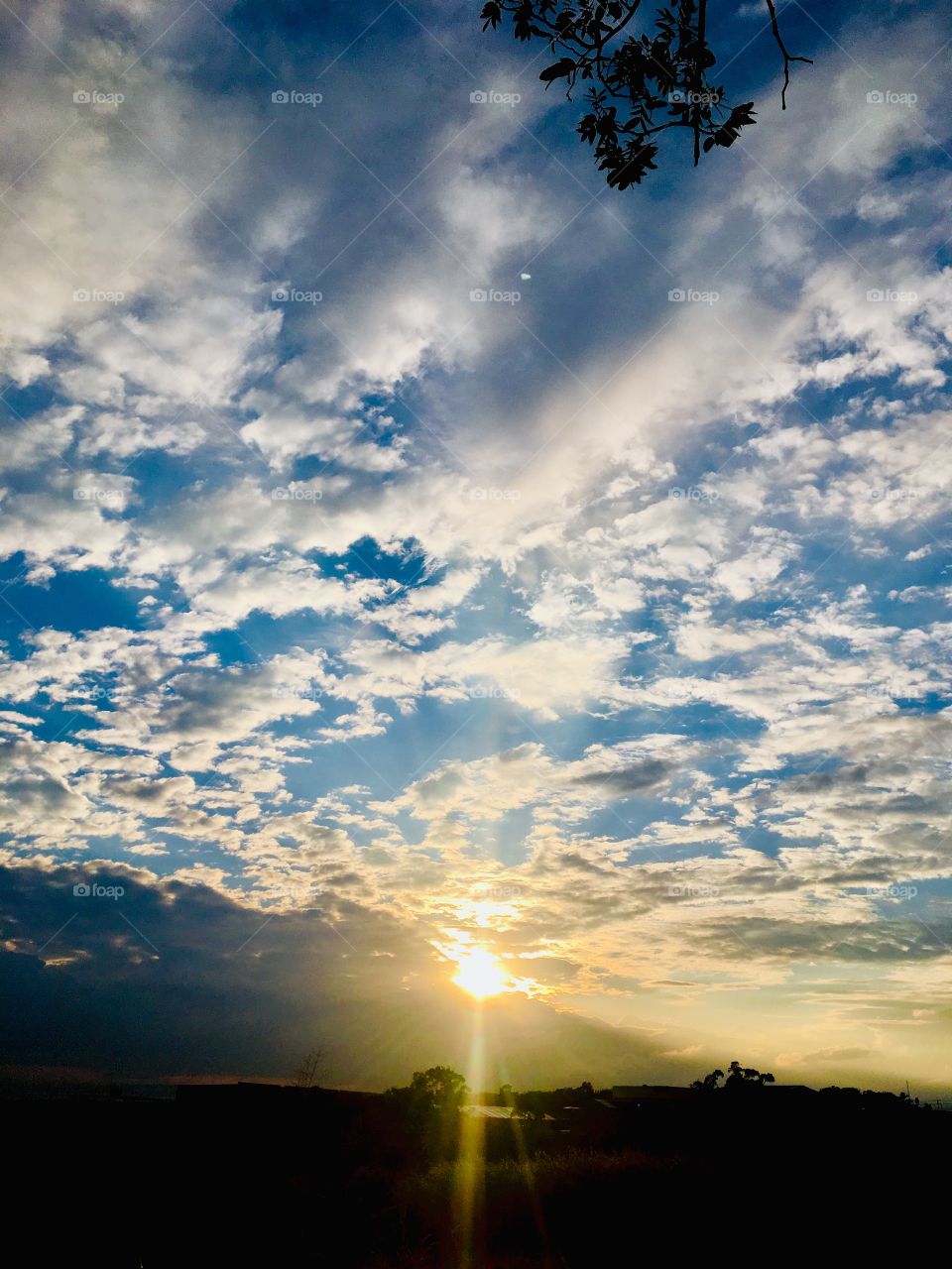 🌅Por fim, pausa para ver #Jundiaí acordar entre as #nuvens. Que a #terçafeira possa valer a pena!
Admirando no clique 4:
🍃
#sol #sun #sky #céu #photo #nature #morning #alvorada #natureza #fotografia #pictureoftheday