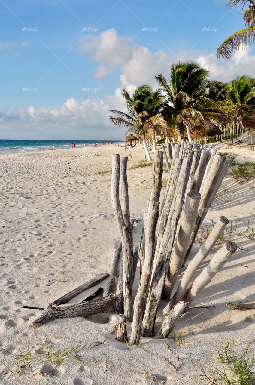 Fence on the beach