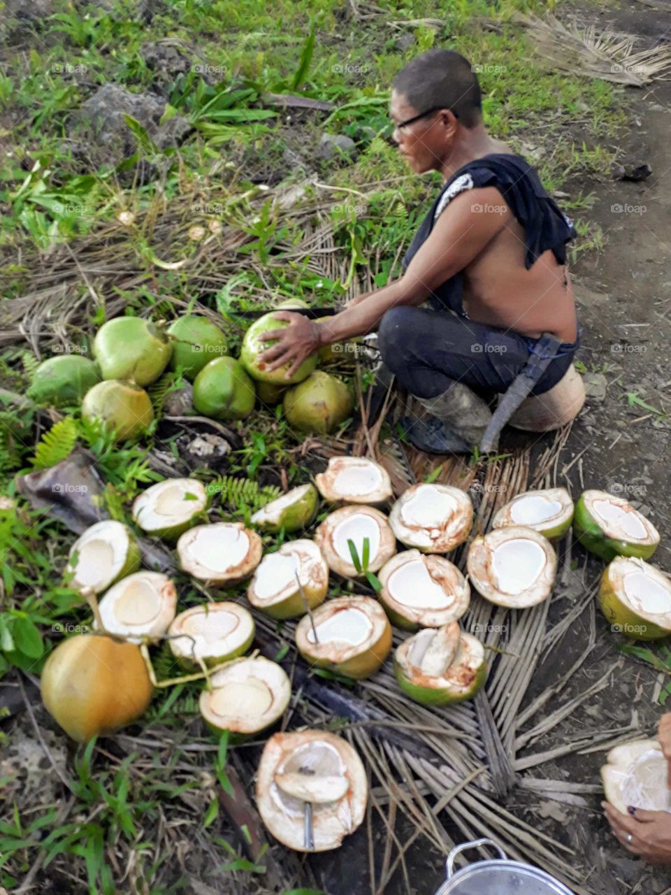 Buko or young coconut can be eaten straight from the shell. The fresh buko juice is a good healthy refreshment.