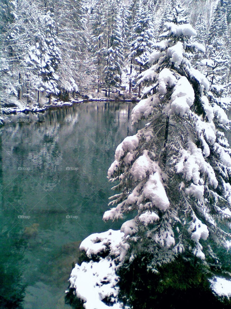 Blausee/ Blue Lake