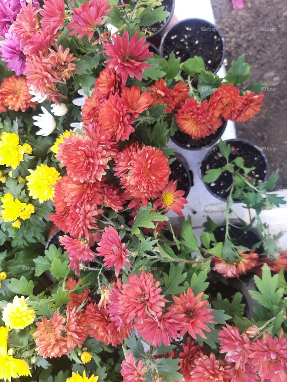 Please make me happy, I am poor, I need your help with support