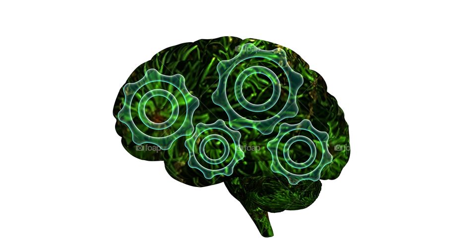 brain with plant texture and green gearls mechanism