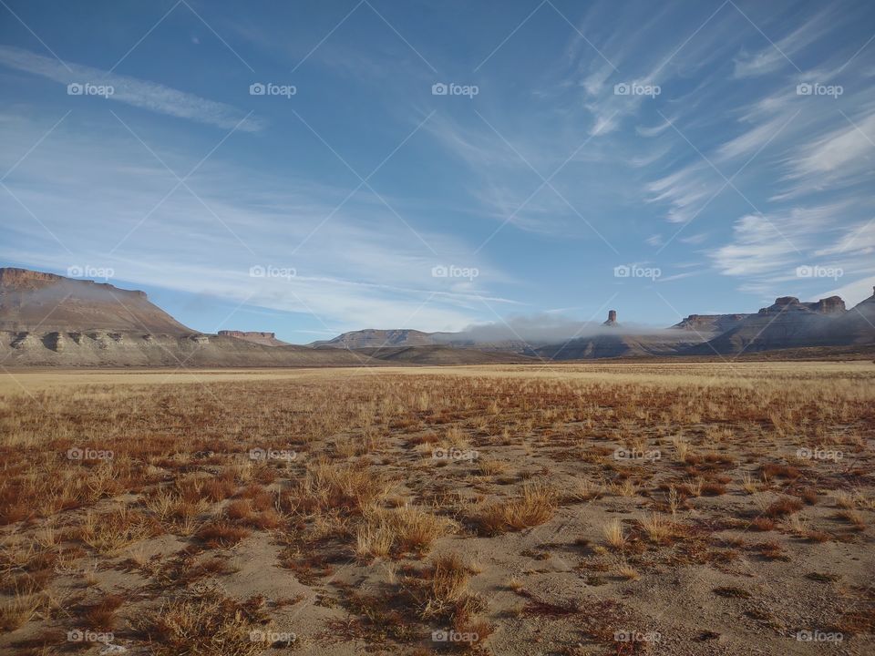 Misty Desert Mornings