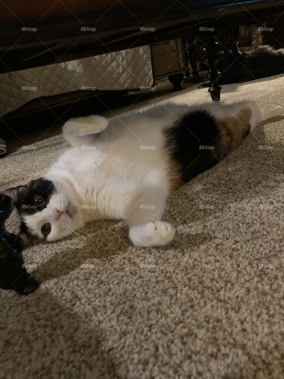 Stretch, relax, and chill 