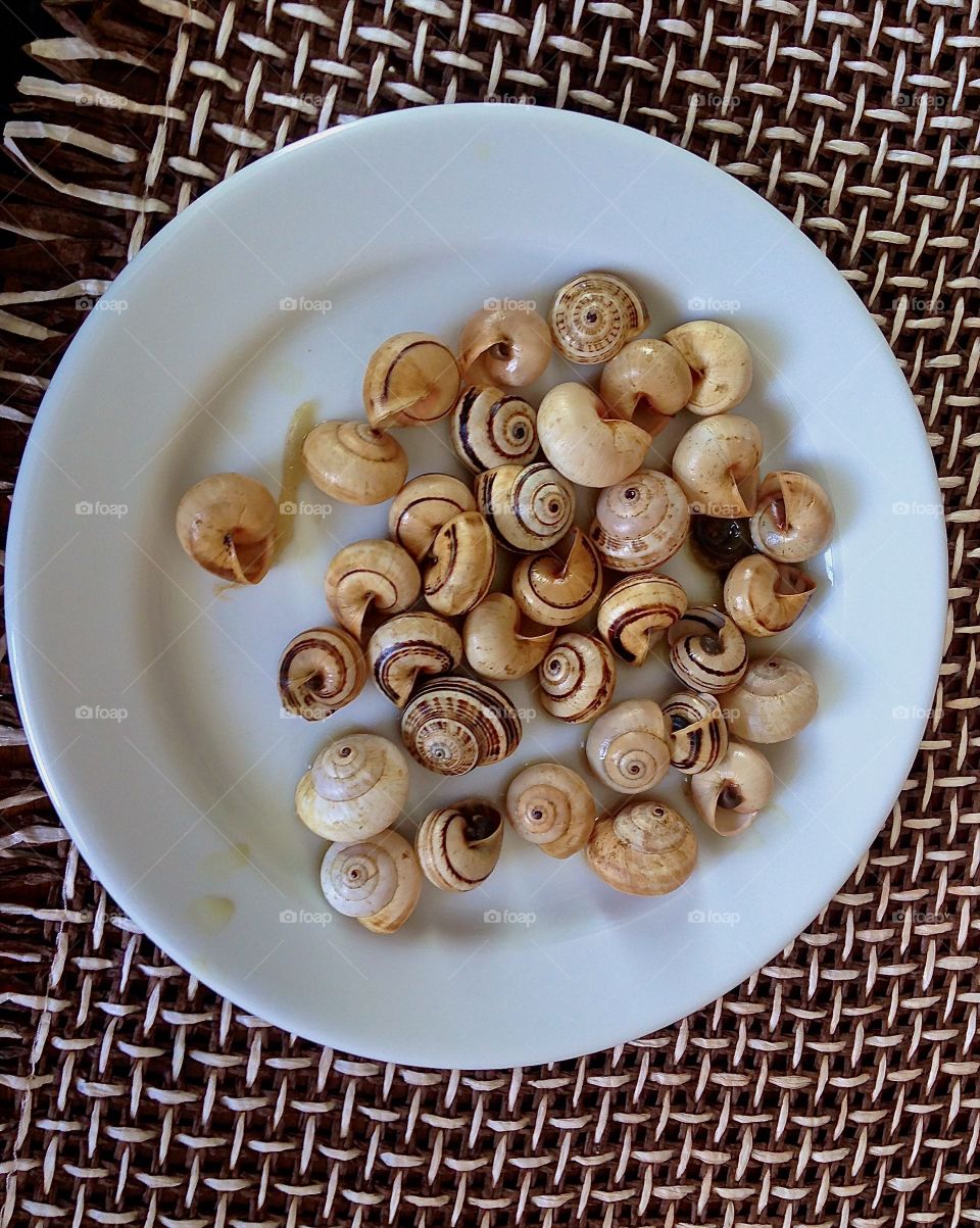 snails take off portuguese cuisine