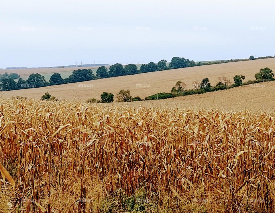 best of 2021 - Nature