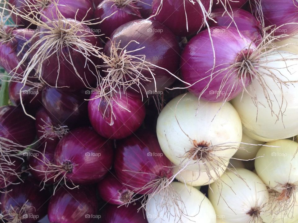 There's No Crying In Onions