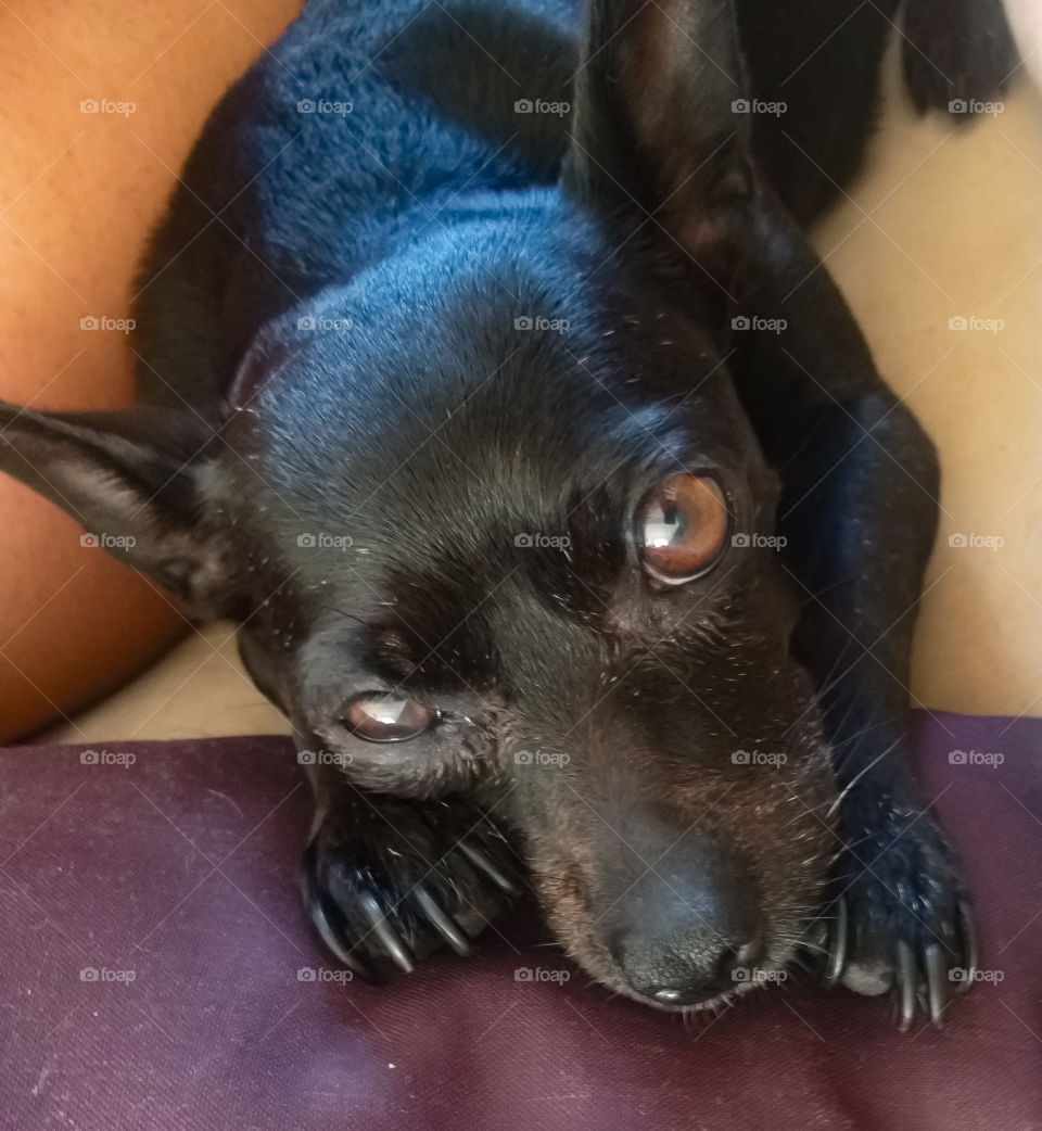 How not to get lost in this look...😍