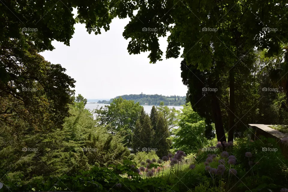 Lake view