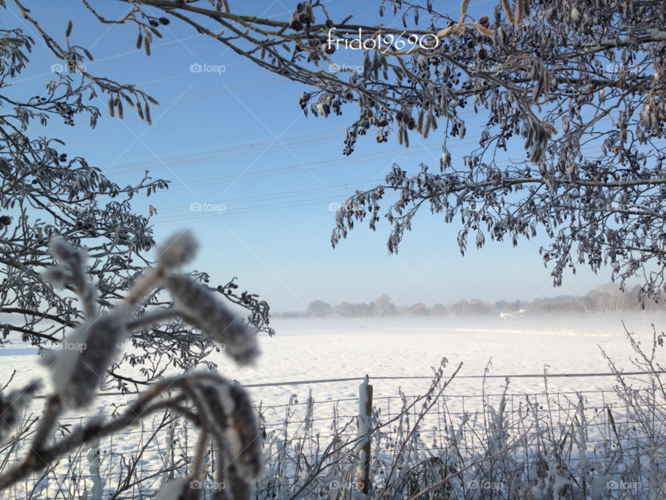 hoogland west snow winter trees by frido1969