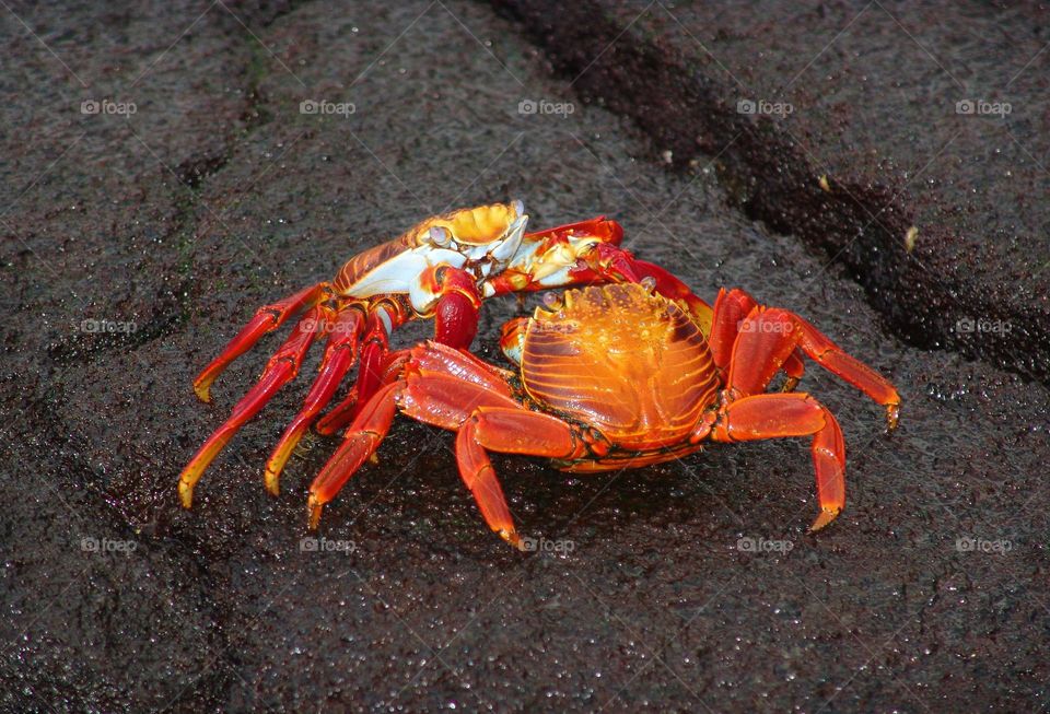 Photography 'originalcontent'