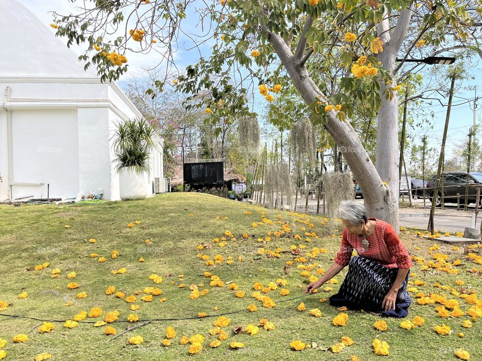  📷Colour Explosion 🔴
