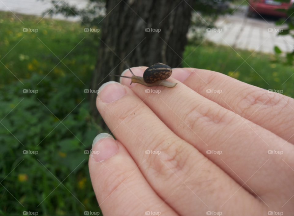 A little snail