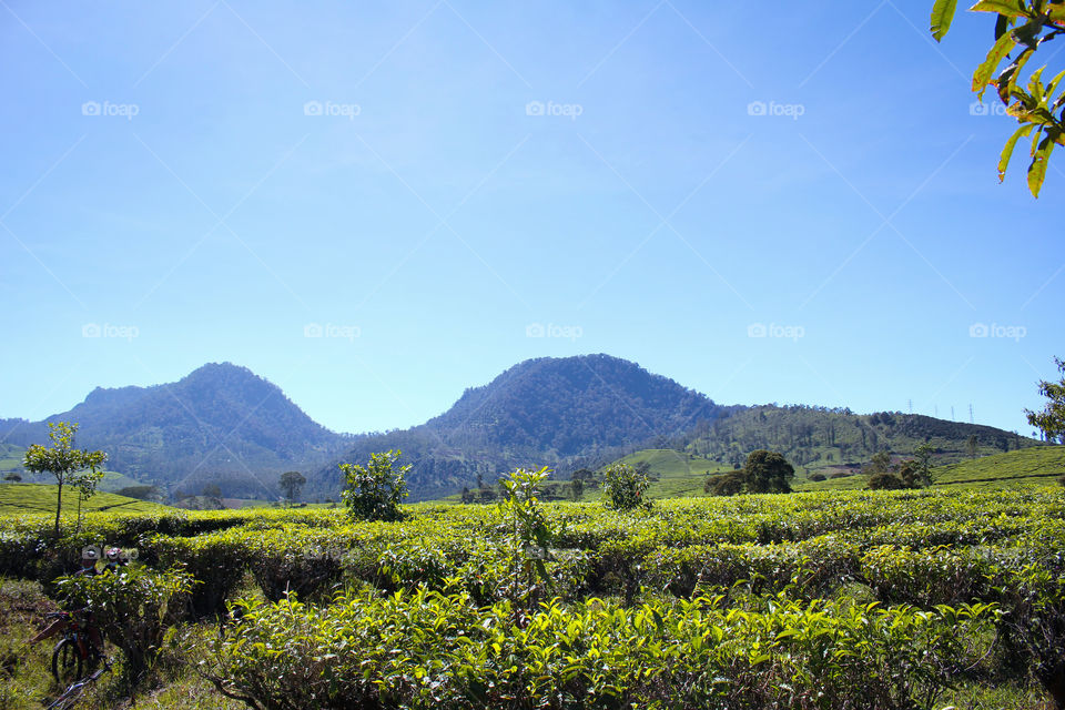 morning view in the mountain