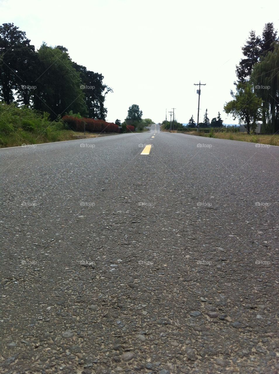 Country road. Road I grew up biking on  