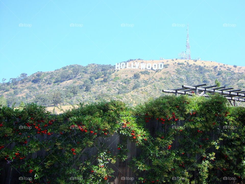 Hollywood Hills. Photo taken in Hollywood, CA