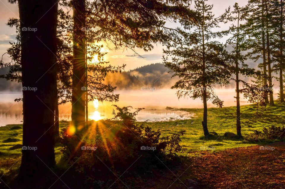 Beautiful spring sunrise, Bulgaria, dam Shiroka polyna