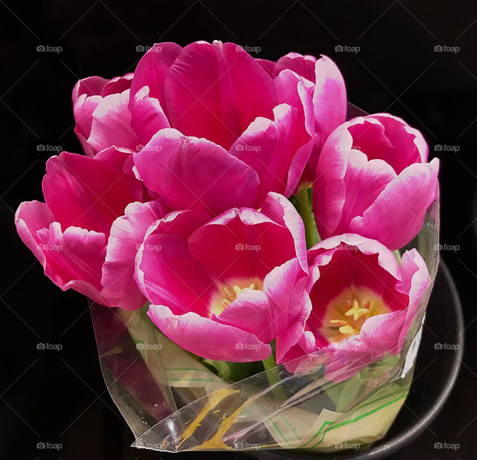 Magenta flower bouquet.