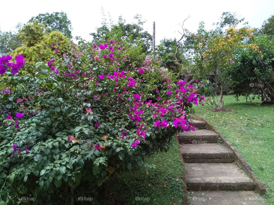 Beautiful walking path