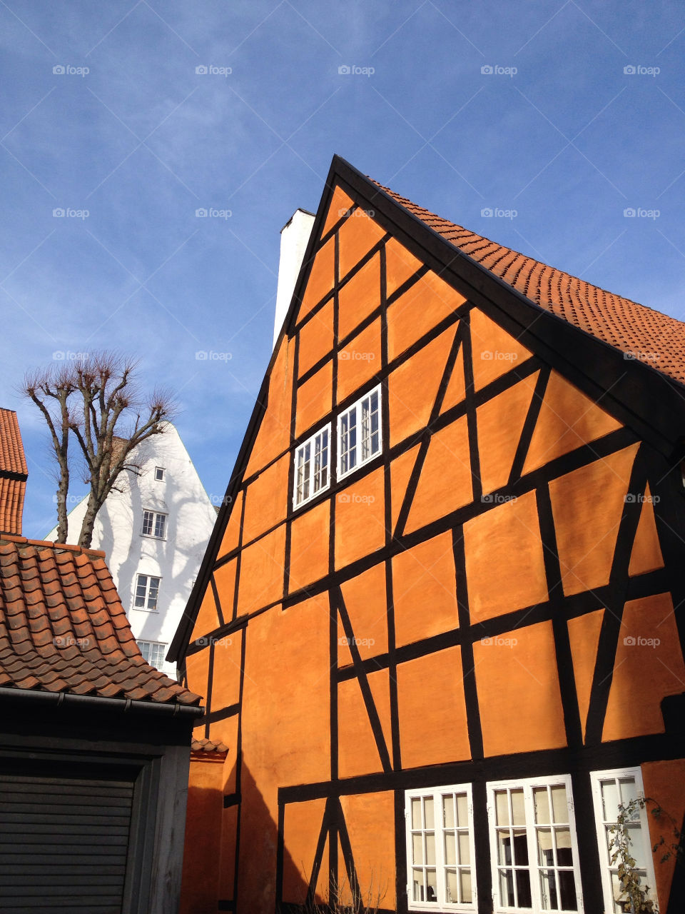 Houses in Denmark