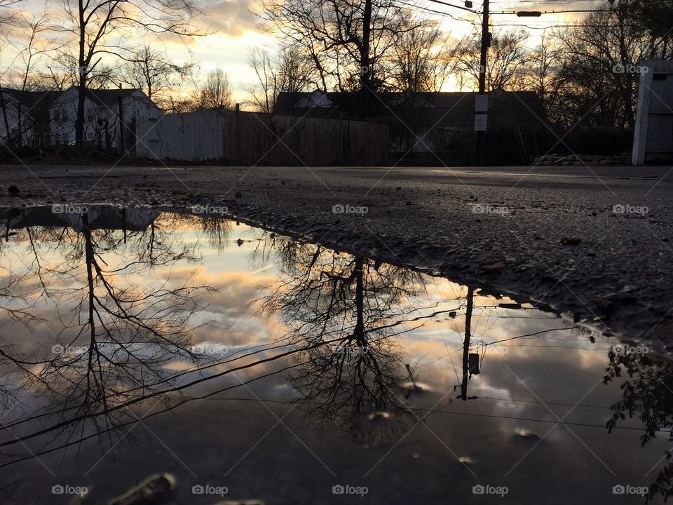 Sunset reflection in pond 