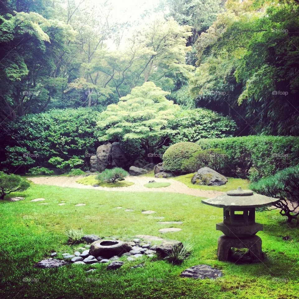 landscape garden japanese zen garden green oasis by NicoleVardi