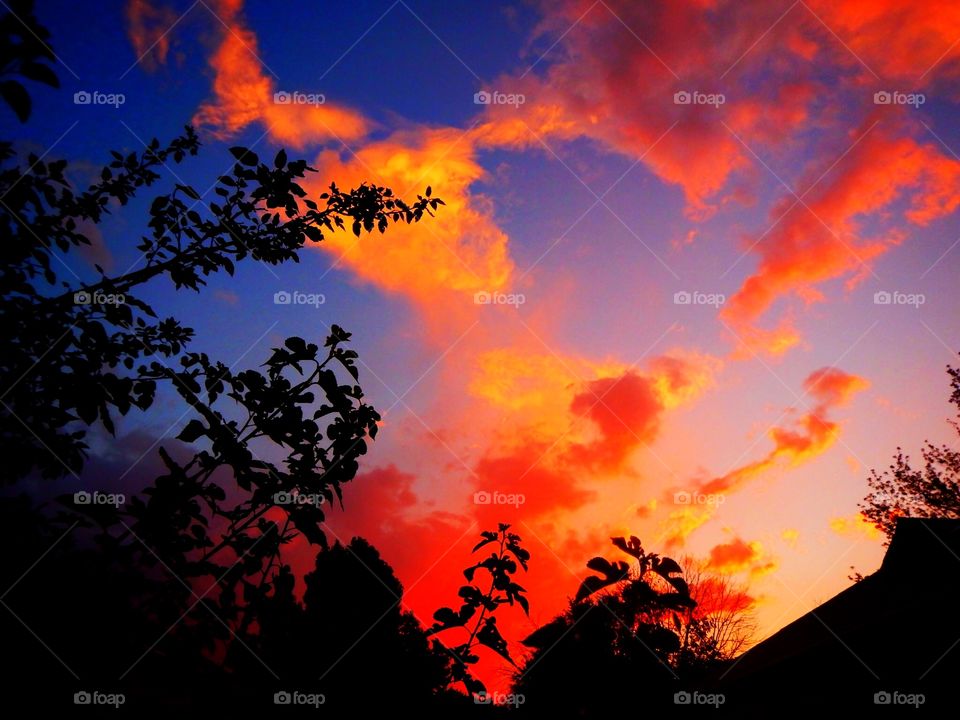 Amazing indianapolis Sunset. Cool sunset out in front out my house here in Indy. 