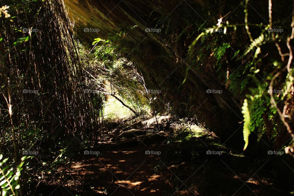 water tunnels in cave