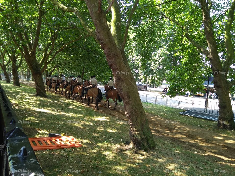Hyde Park horse riding