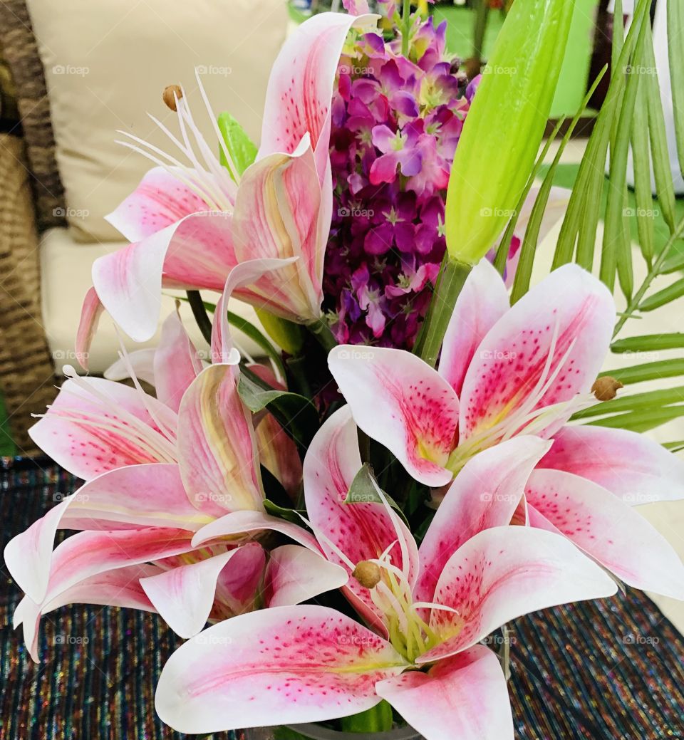  Beautiful Flowers 💐