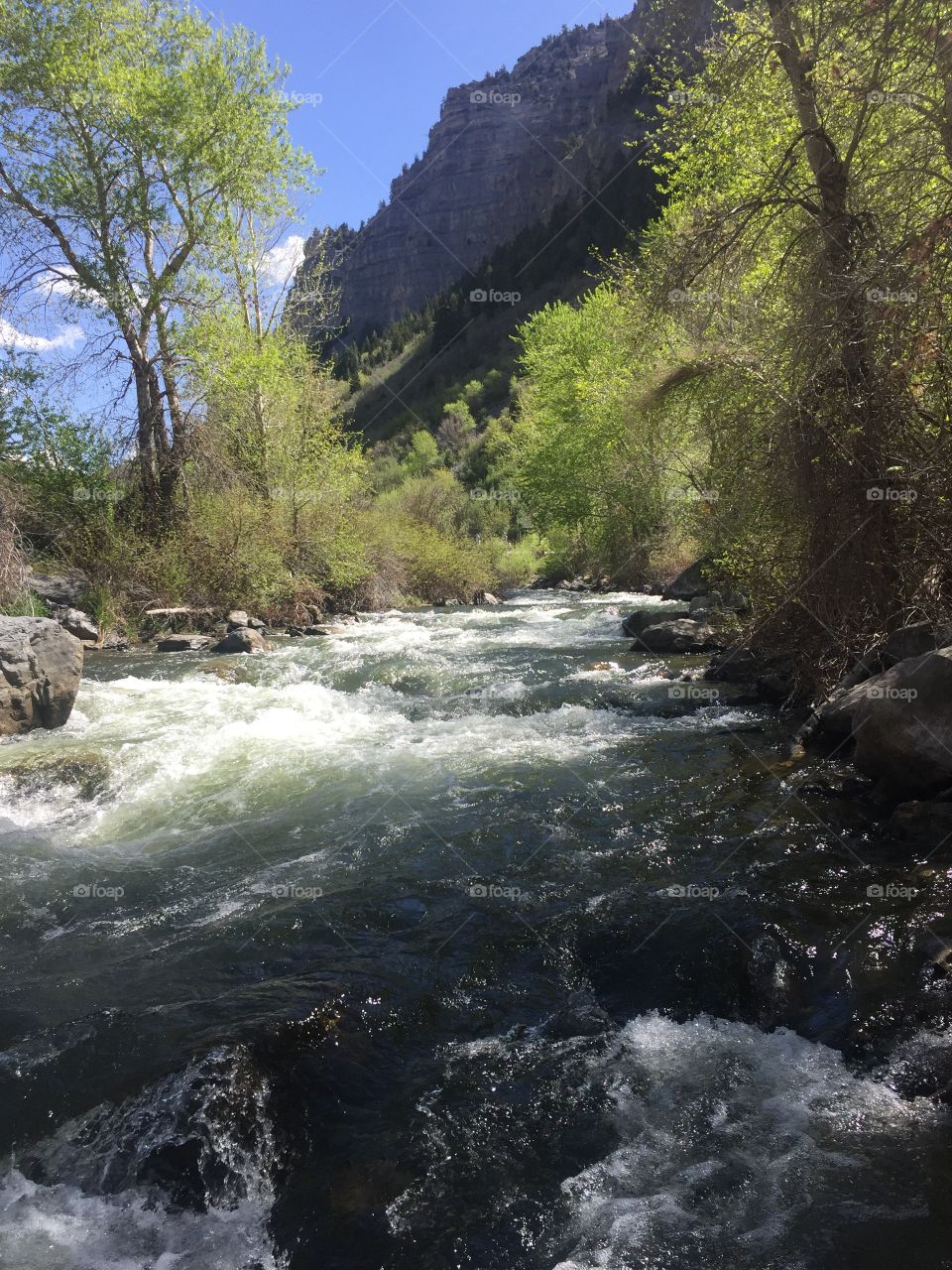 A spring on the trail to Bridal Falls in Springville, Utah. Beautifully clear snowmelt water surrounded by Utah in bloom. April 2018.