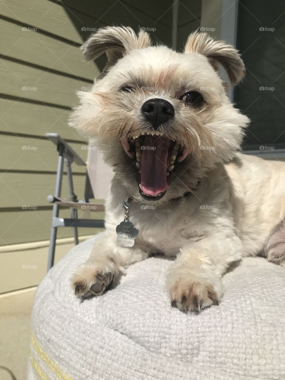 Spooky yawn, just a tired boy. 
