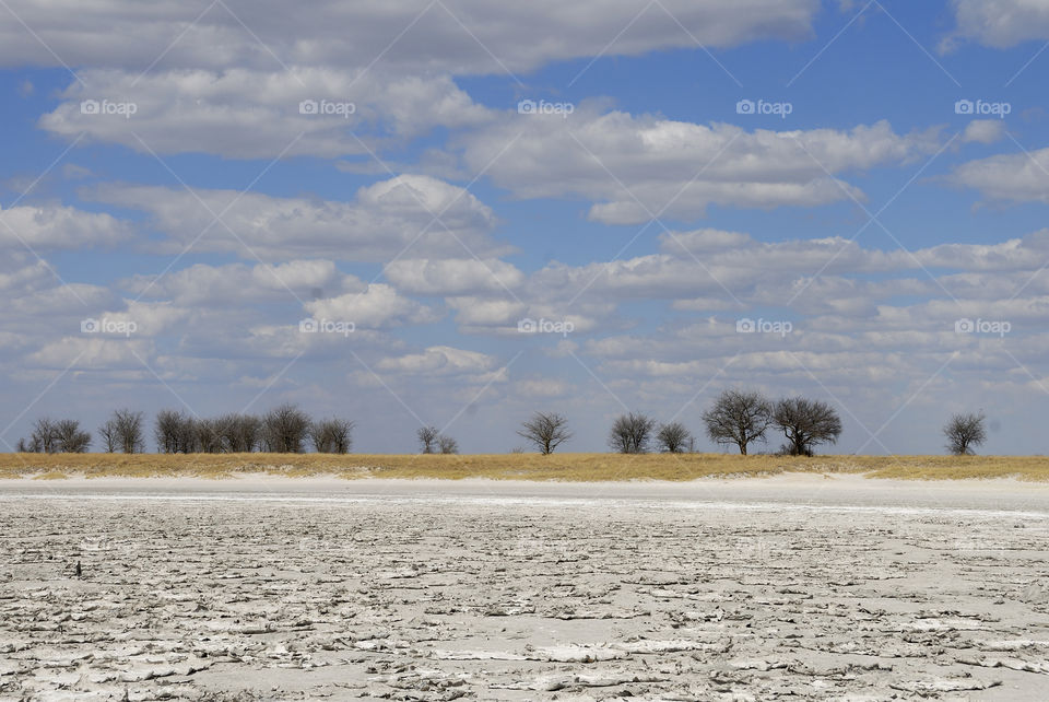 Water, Tree, No Person, Outdoors, Landscape