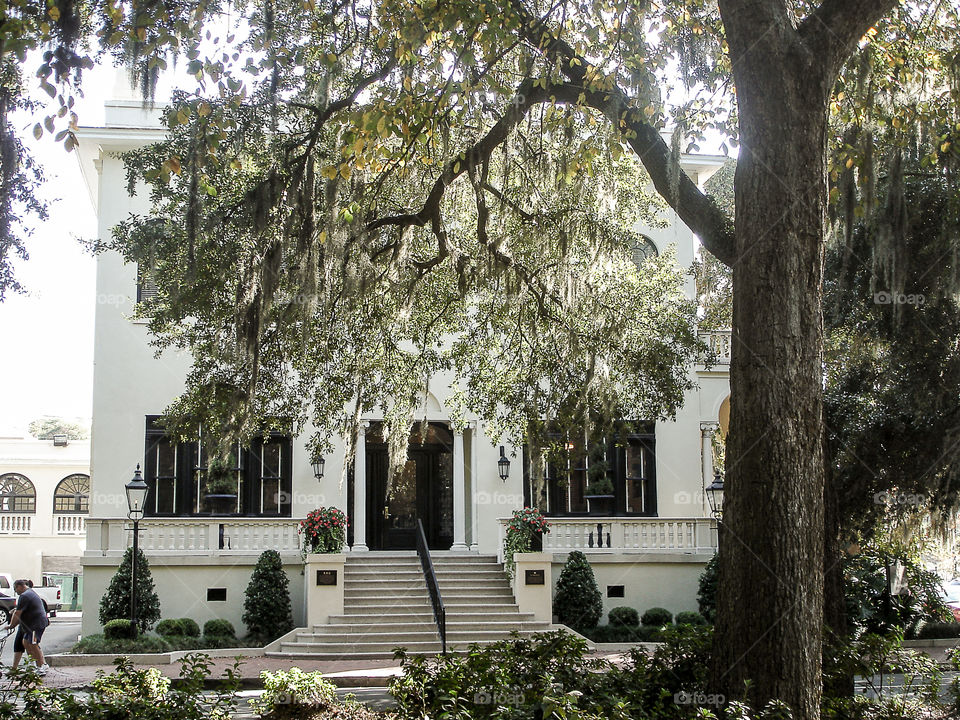 Savannah mansion