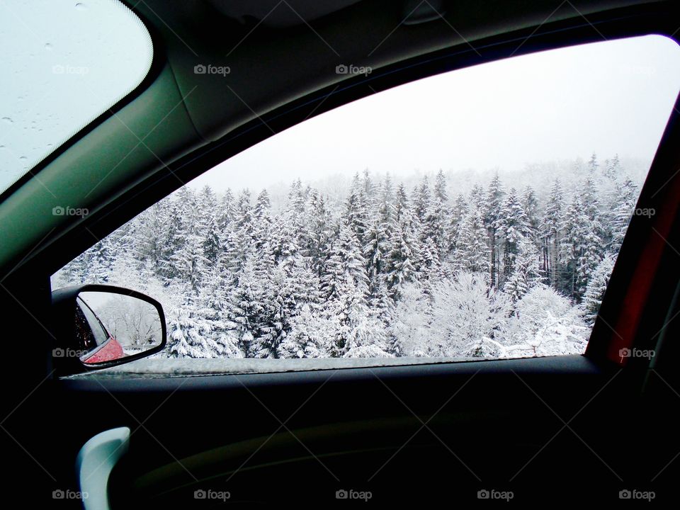 Trees covers in snow seen from car window