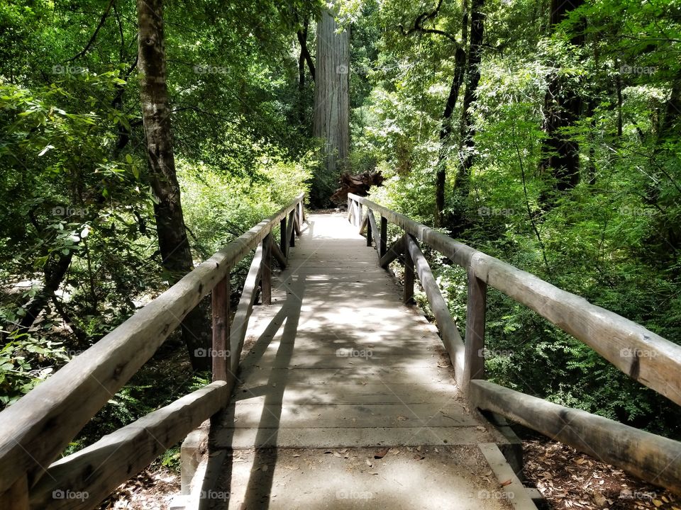 Bridge over dry Creek Bed