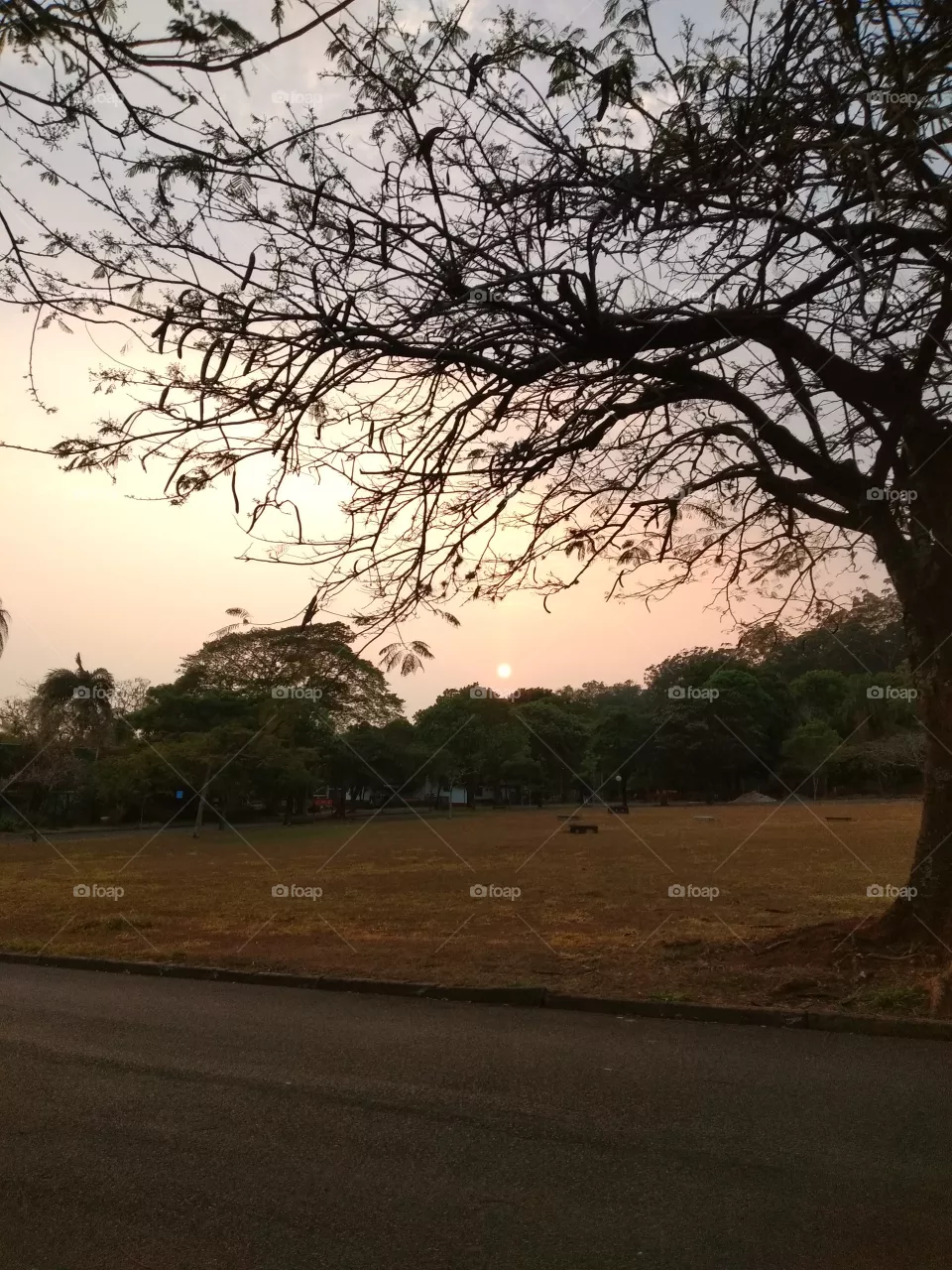 amanhecer