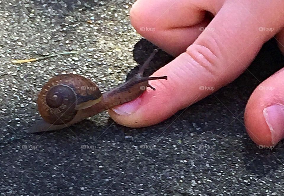 Fun with snails 