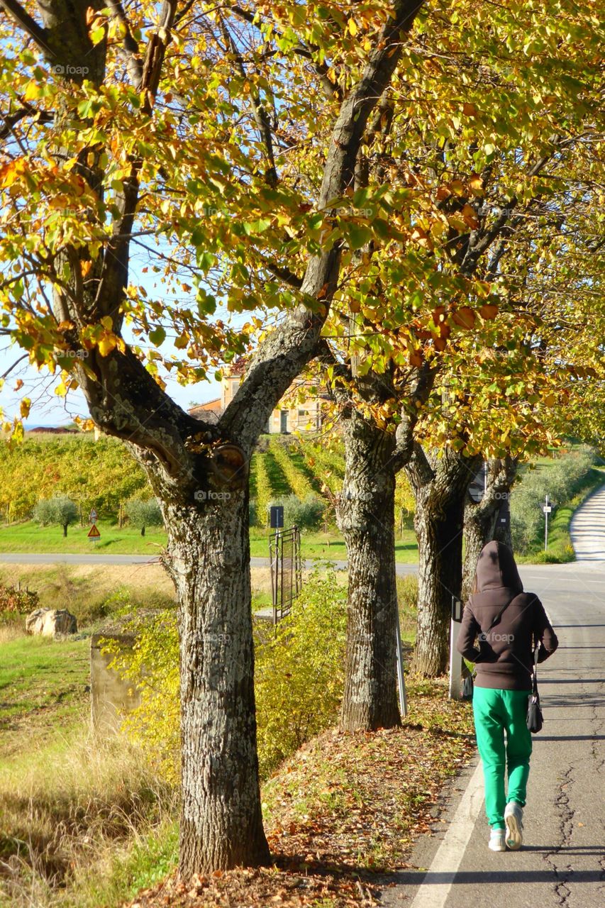 Autumn walk. Autumn walk