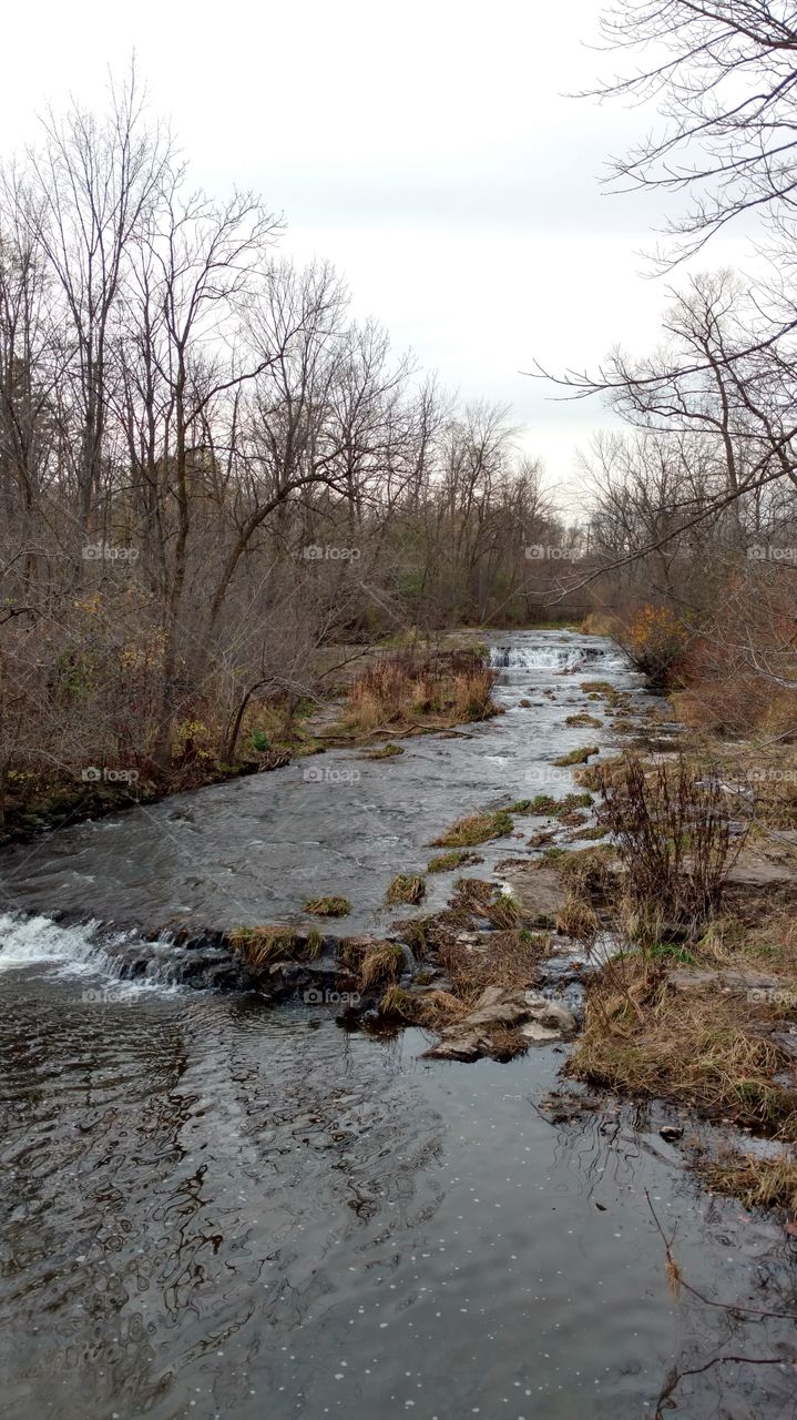 Stream at a nature preserve