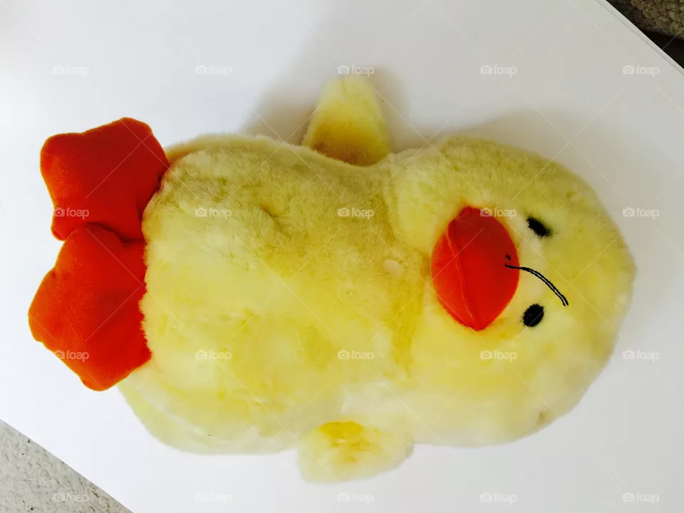 My duck