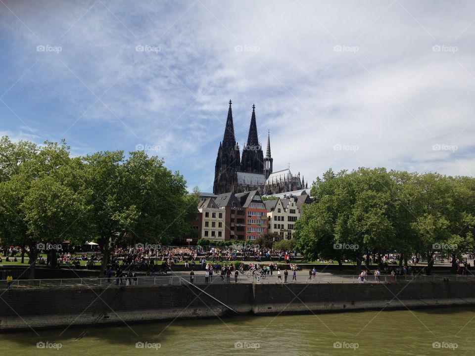 Summer Day along the Rhine