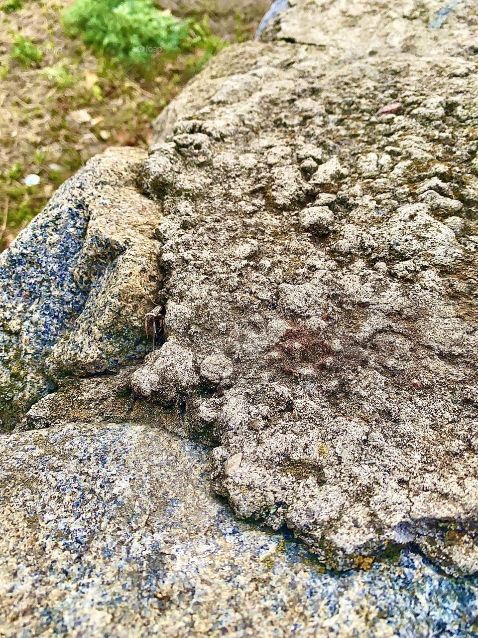 #stone #grass #texture#