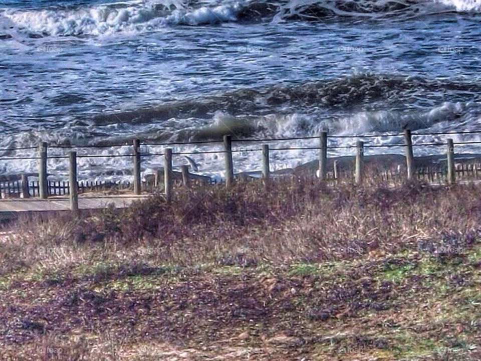 Walking along the beach