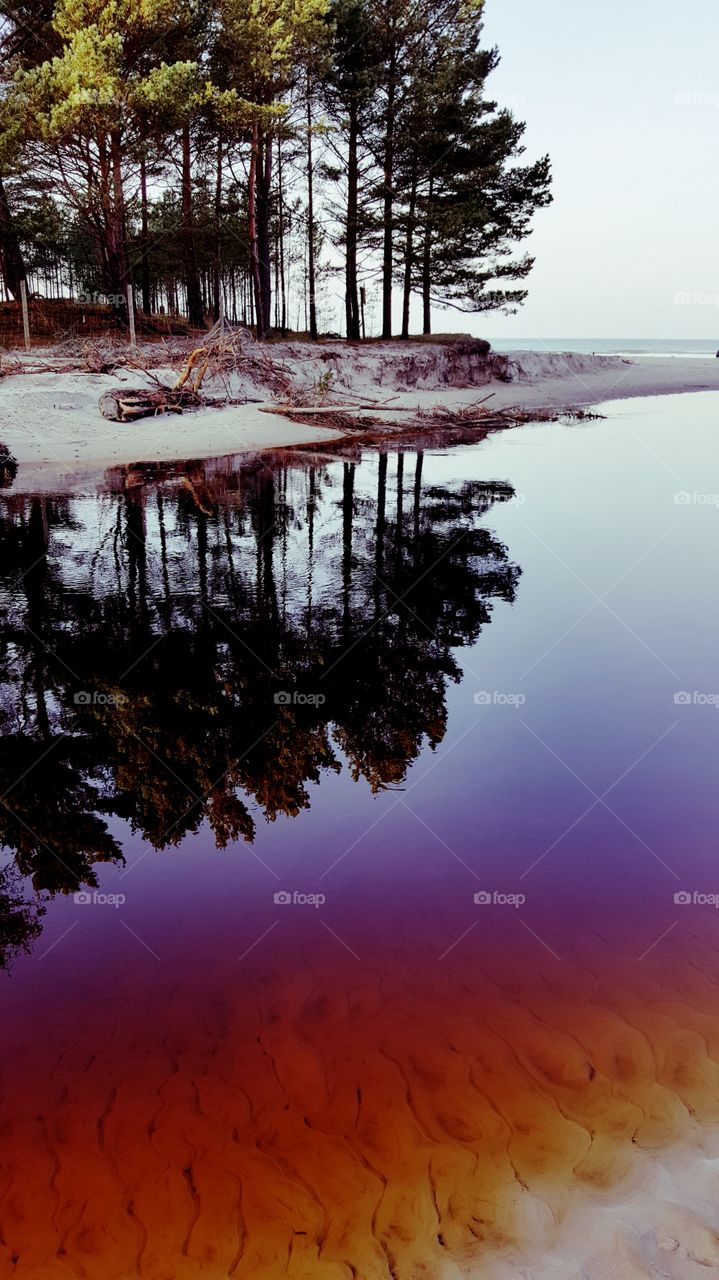 Incredible colour of the river- Piaśnica, Dębki, Pomerania, Poland.