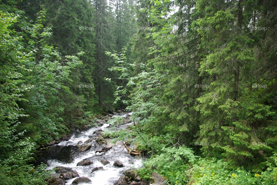 River in the mountain