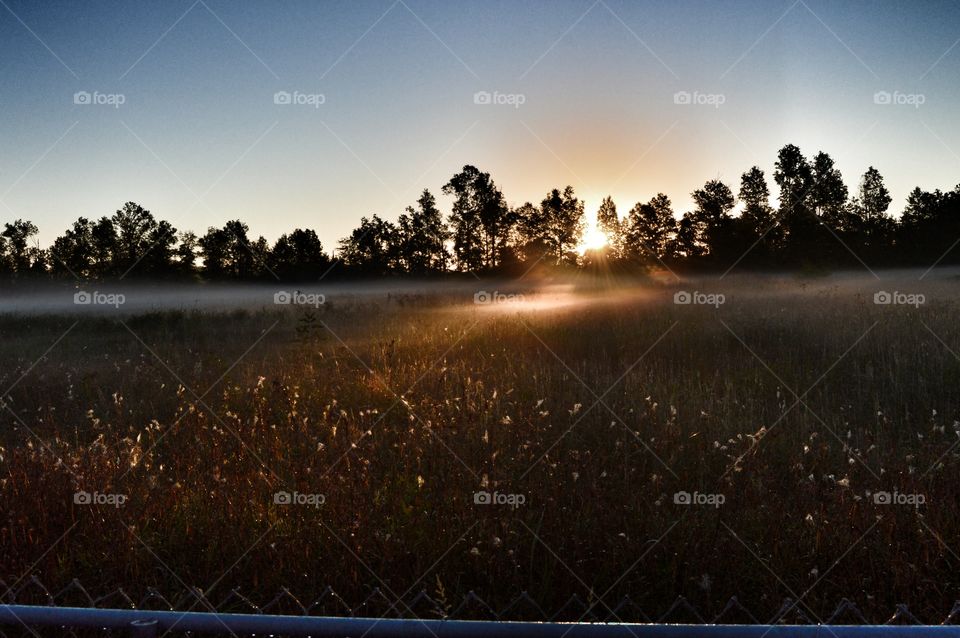 early morning bliss. sunrise across an empty field